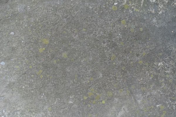 Cost of Slab Staining Service in Orange